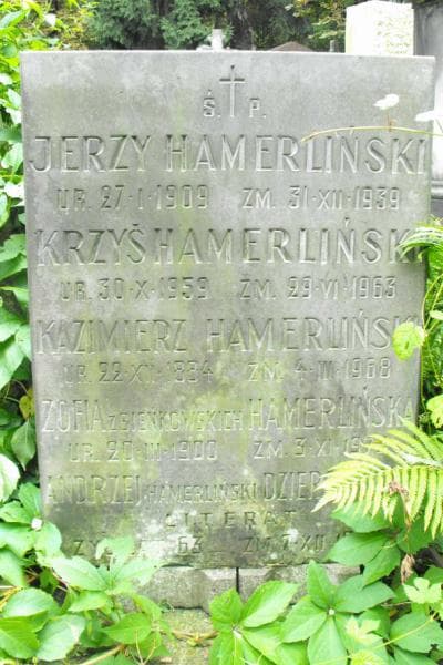 Zdjęcie grobu Ludwik Hamerliński (2)
