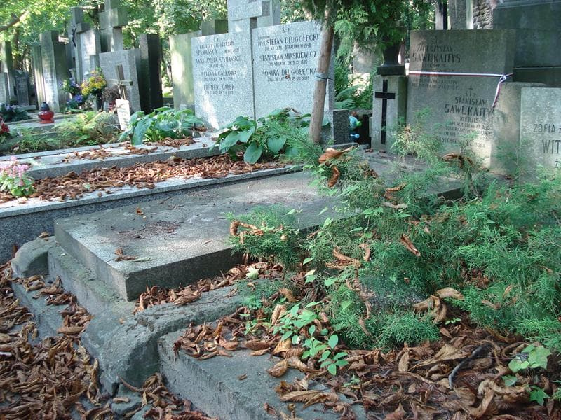 Zdjęcie grobu Stanisław Sawukajtys (1)