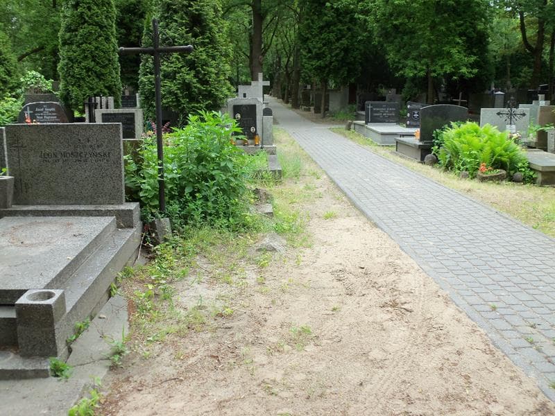 Zdjęcie grobu: Pole Grobowe