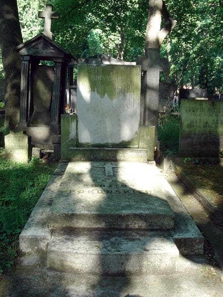 Zdjęcie grobu: Józef Pokorski