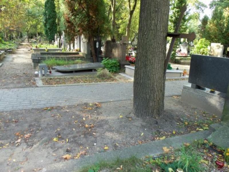 Zdjęcie grobu Anonim (1)