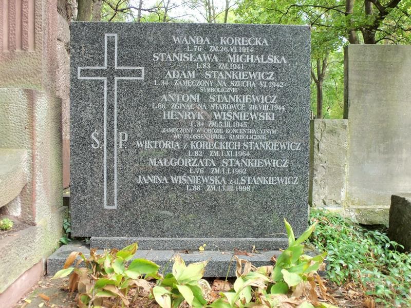 Zdjęcie grobu Stanisława Michalska (2)