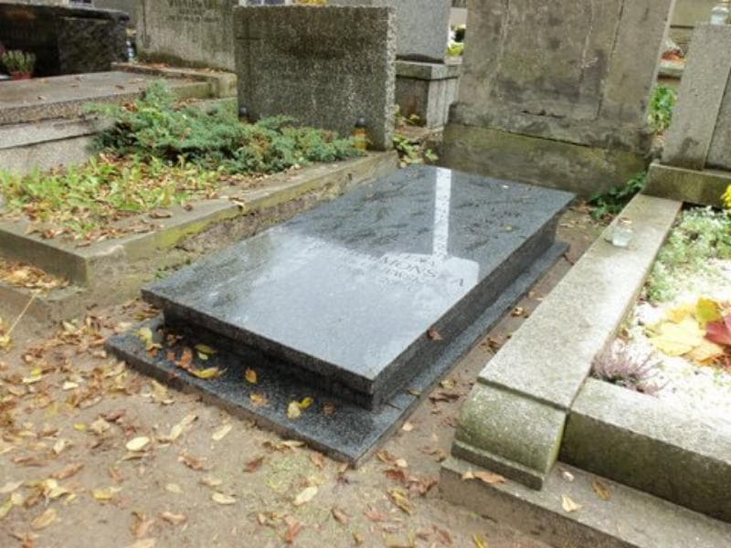 Zdjęcie grobu Helena Chełmońska (2)