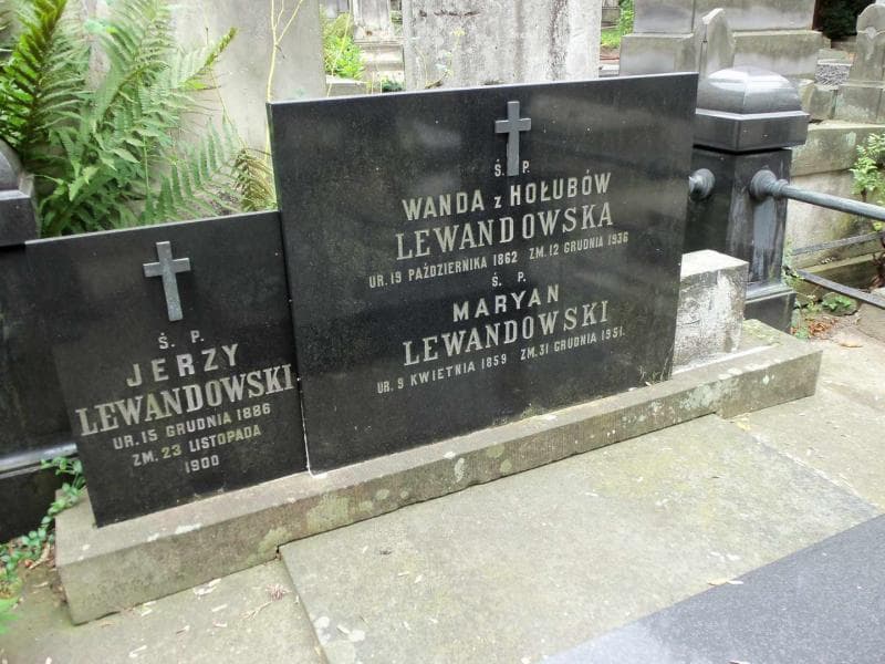 Zdjęcie grobu Wanda Lewandowska (2)