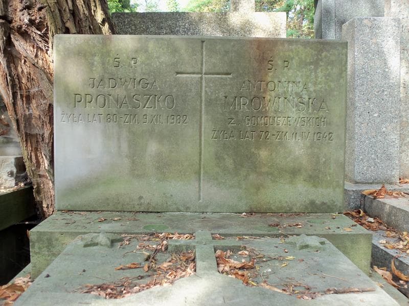 Zdjęcie grobu Łucja Gomoliszewska (2)
