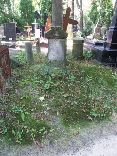 Zdjęcie grobu: Woldemar Artiur Niestojemski