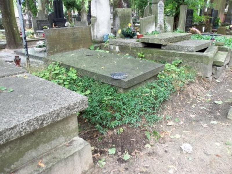 Zdjęcie grobu Janina Dąbkowska (1)