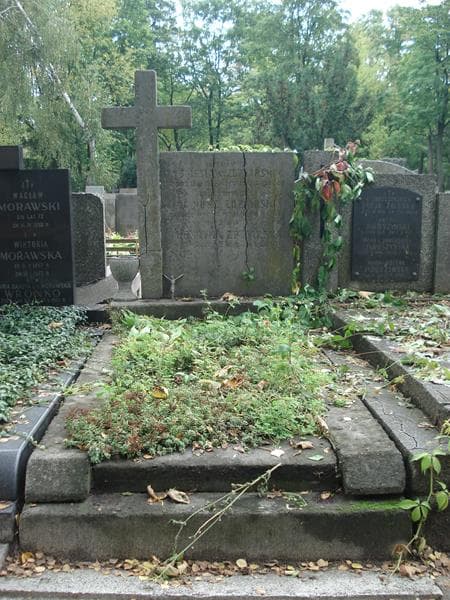 Zdjęcie grobu: Henryka Zdziarska