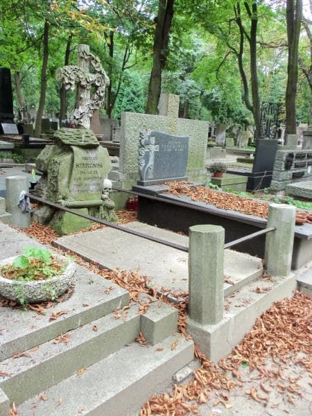 Zdjęcie grobu Maurycy Szeronos (1)