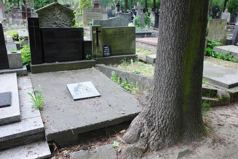 Zdjęcie grobu Irena Majda (1)