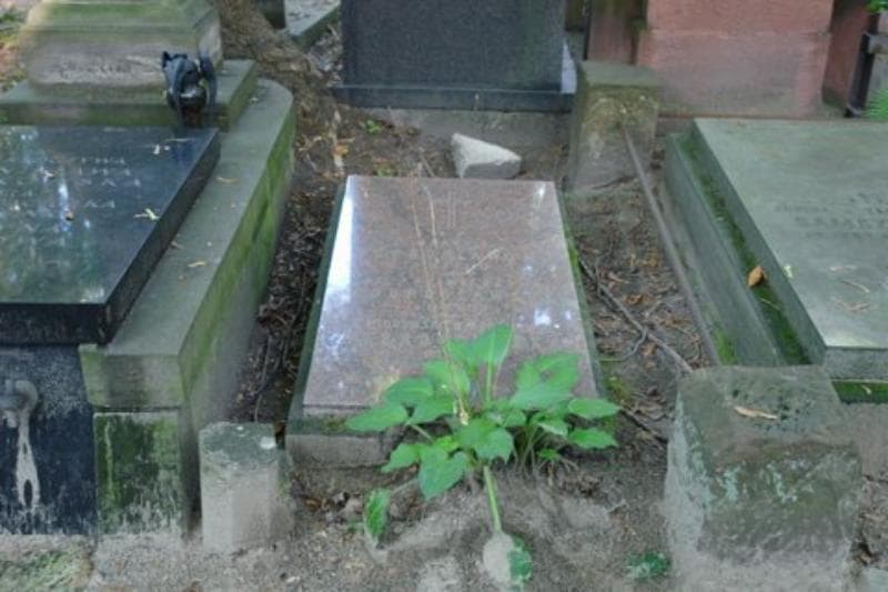 Zdjęcie grobu: Bronisława Dobrosławska