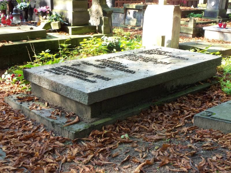 Zdjęcie grobu Aleksander Król (2)
