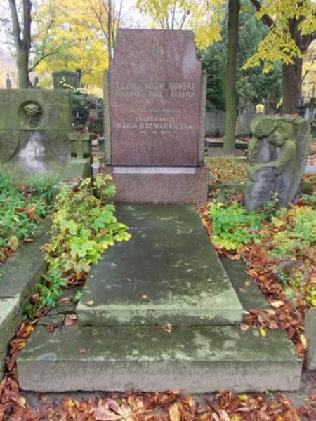 Zdjęcie grobu: Feliks Rozwadowski