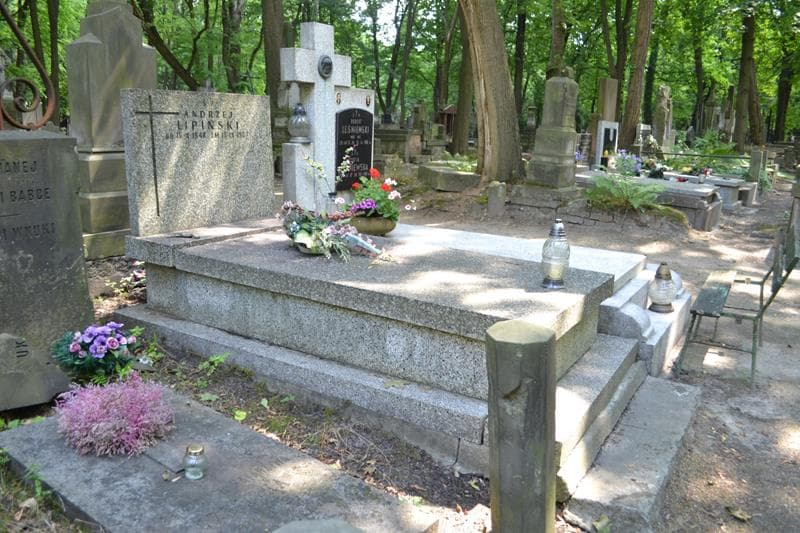 Zdjęcie grobu: Andrzej Lipiński