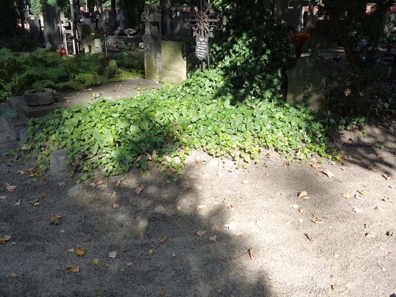 Zdjęcie grobu Anonim (1)