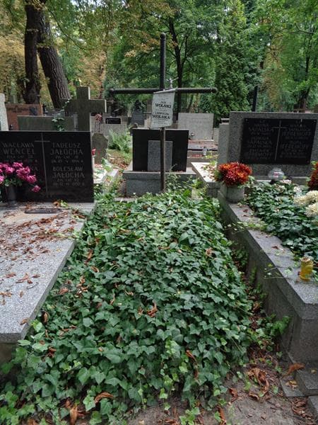 Zdjęcie grobu: Leopolda Wolska