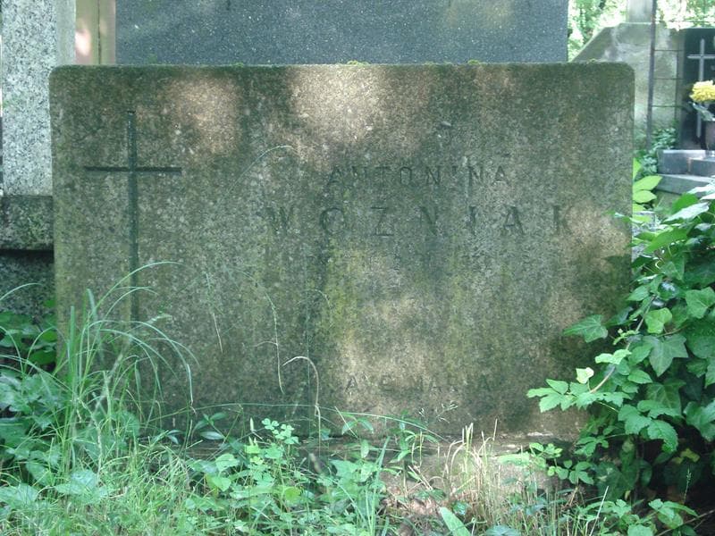Zdjęcie grobu Antonina Woźniak (2)