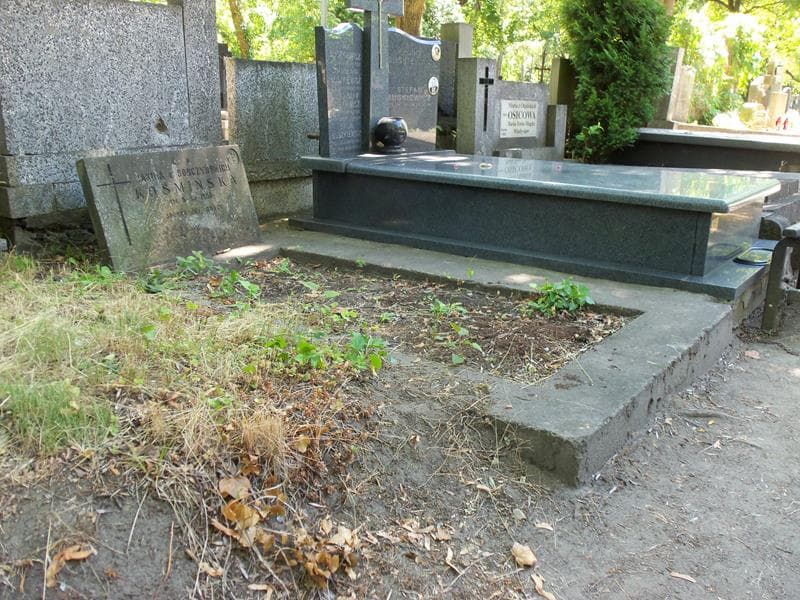 Zdjęcie grobu Janina Kośmińska (1)