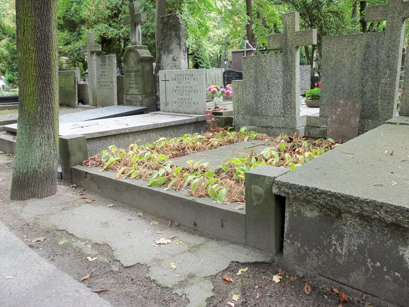 Zdjęcie grobu Józefa Herbstowa (1)