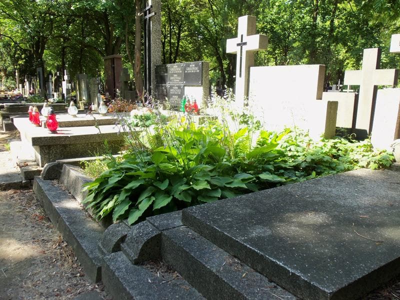 Zdjęcie grobu Janina Grzybowska (1)