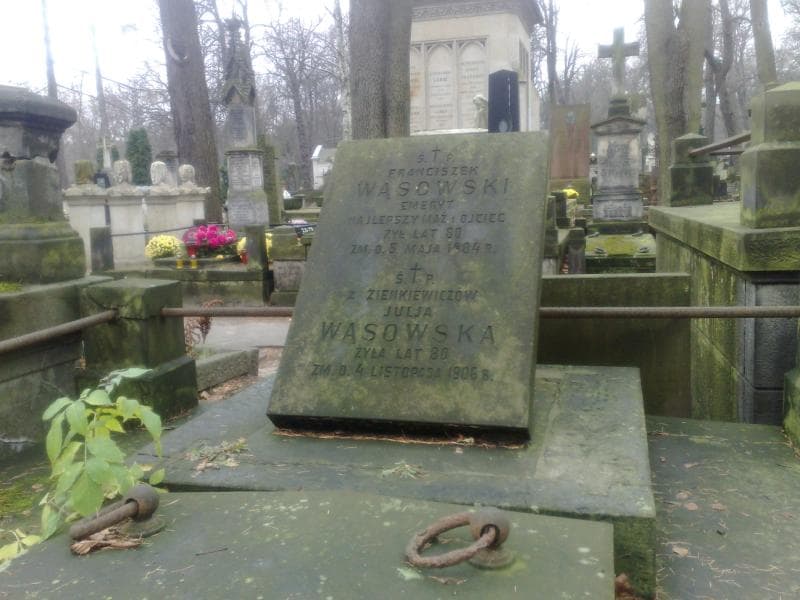 Zdjęcie grobu Julja Wąsowska (1)