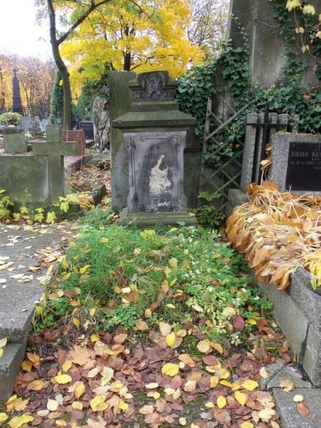 Zdjęcie grobu: Antonina Wyczółkowska