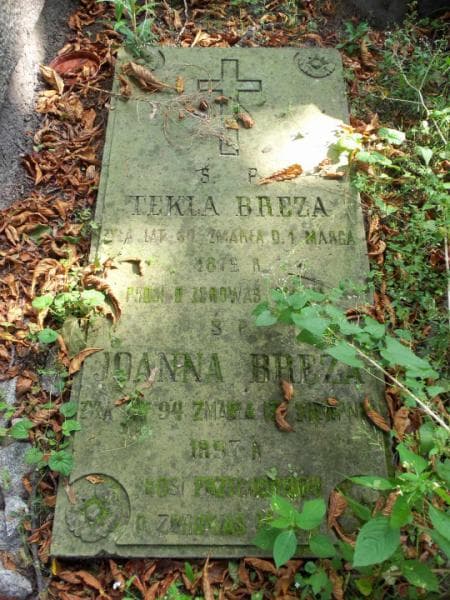 Zdjęcie grobu Tekla Breza (1)