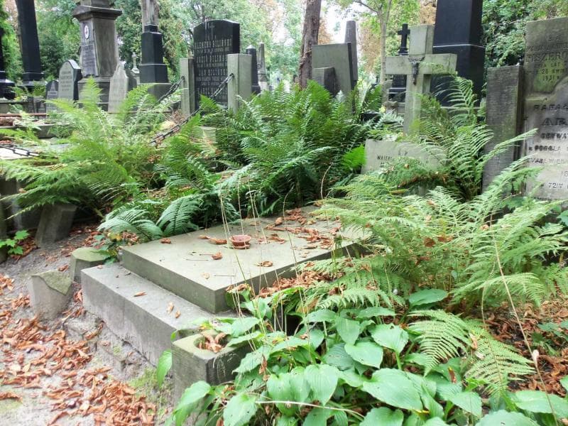 Zdjęcie grobu Blandyna Milanowska (1)