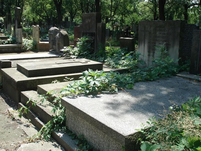 Zdjęcie grobu: Aniela Jabłońska