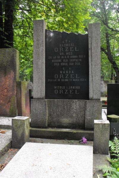 Zdjęcie grobu Janina Orzeł (2)