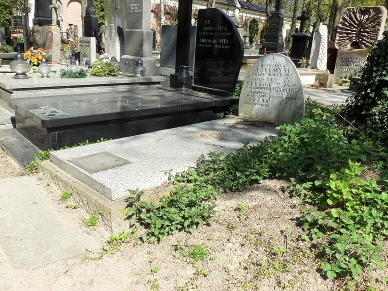 Zdjęcie grobu Krysia Cercha (1)