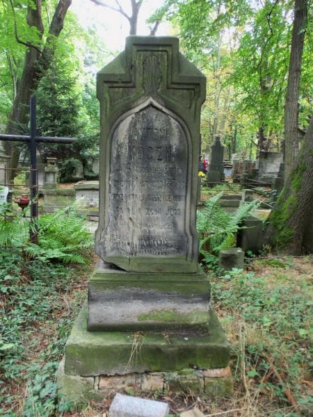 Zdjęcie grobu Antoni Koczy (1)