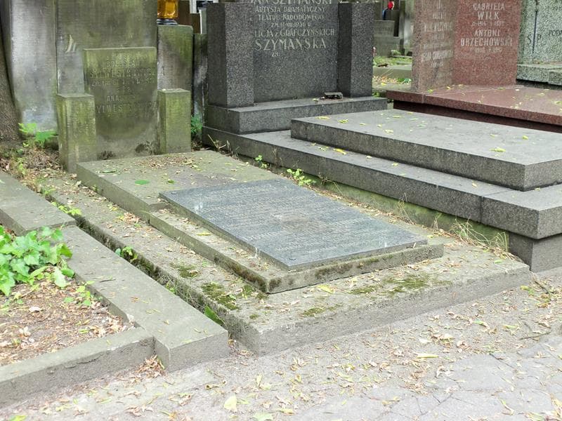 Zdjęcie grobu Hanna Dowoyna-Sylwestrowicz (1)