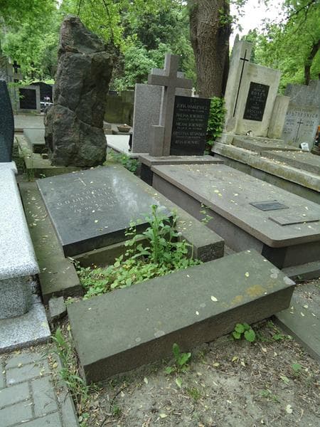 Zdjęcie grobu Antonina Goldringowa (2)