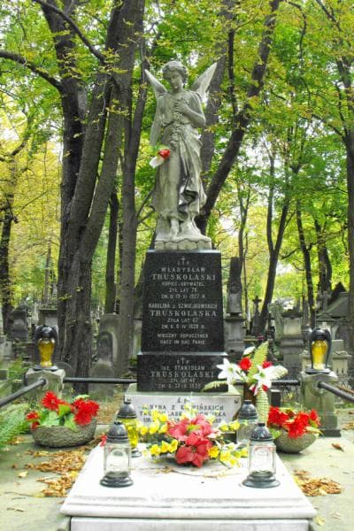 Zdjęcie grobu Stanisław Truskolaski (2)