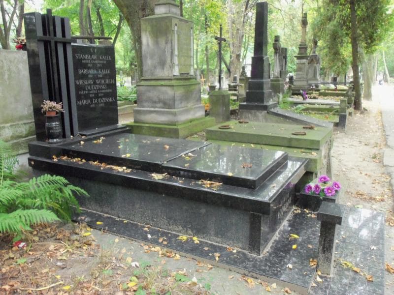 Zdjęcie grobu Maria Dudzińska (1)