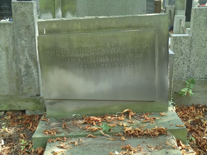 Zdjęcie grobu Tadeusz Waryński (2)