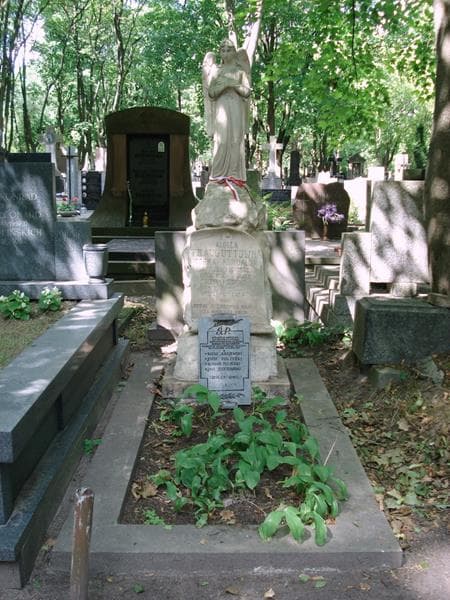 Zdjęcie grobu Józef Toczyski (1)