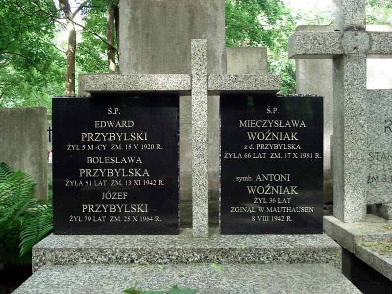 Zdjęcie grobu Bolesława Przybylska (1)