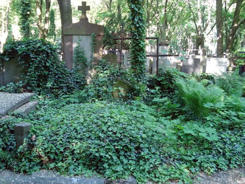 Zdjęcie grobu: Franciszek Kozłowski