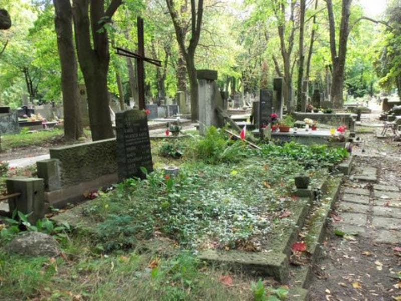 Zdjęcie grobu Wanda Lipińska (1)