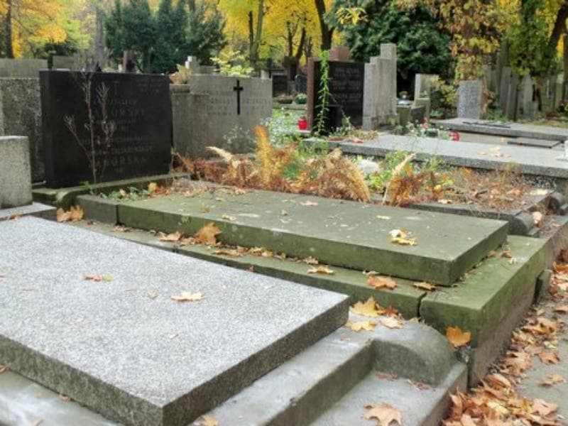 Zdjęcie grobu Stanisław Jaworski (1)
