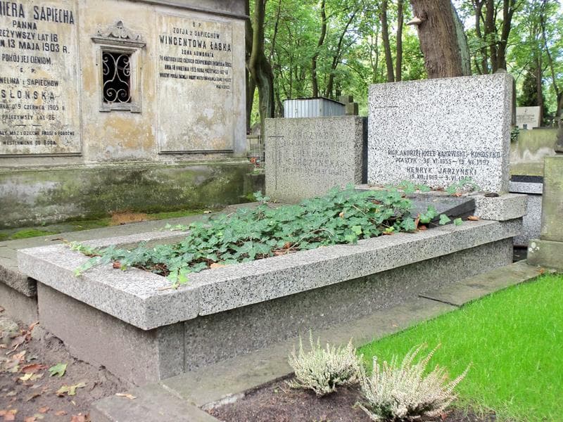 Zdjęcie grobu Zofia Jarzyńska (1)