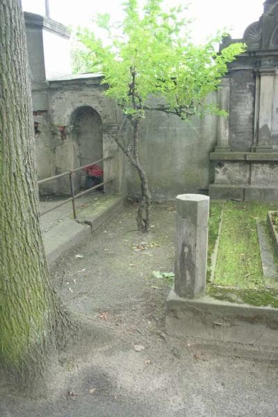 Zdjęcie grobu Pole Grobowe (1)