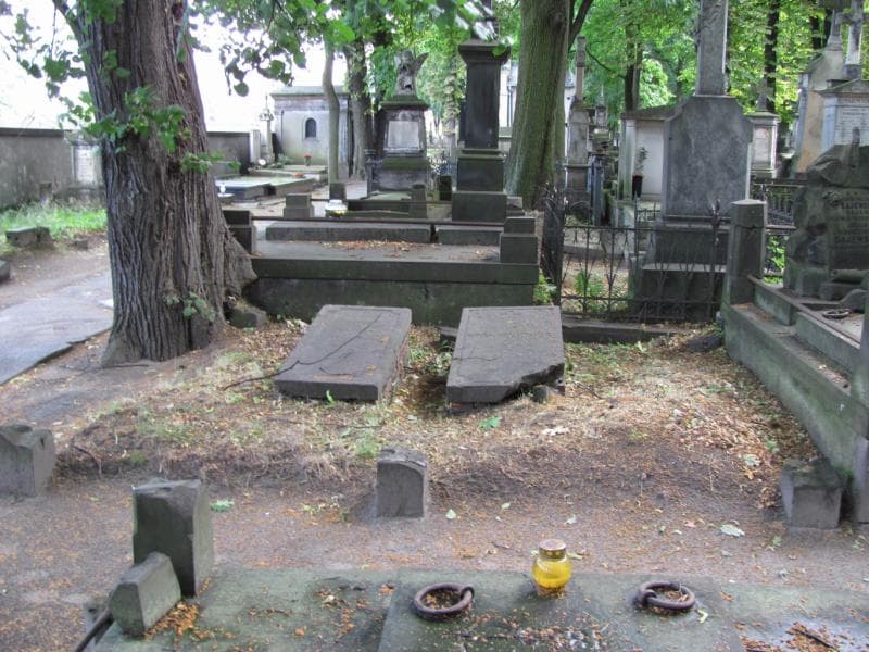 Zdjęcie grobu: Adolfina Krzyczkowska