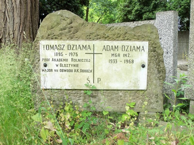 Zdjęcie grobu Tomasz Dziama (2)