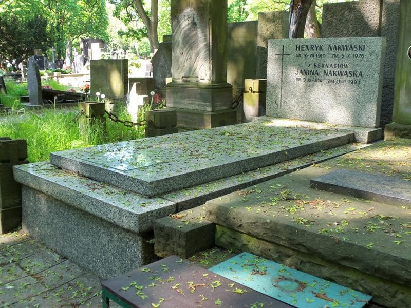 Zdjęcie grobu Henryk Nakwaski (1)