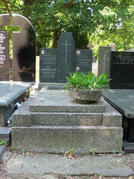 Zdjęcie grobu: Henryk Włoskowicz