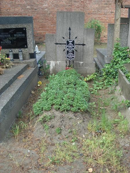 Zdjęcie grobu: Zofia Strzegocka