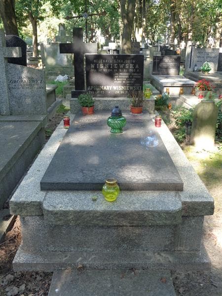 Zdjęcie grobu Danuta Lendzion (1)